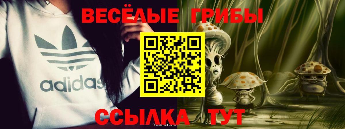 Галлюциногенные грибы ЛСД Строитель